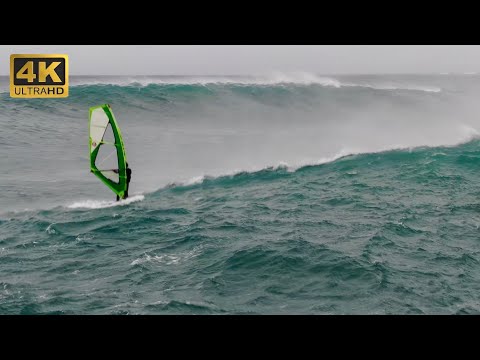 CORE LORD SHREDS SHARK ISLAND