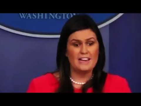 Bibi Bourelly - Whitehouse