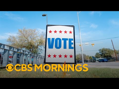 Analysis of Texas primary race results