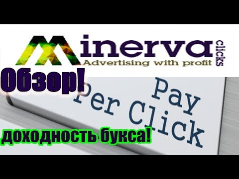 Minerva-clicks - обзор букса (PTC), расчет доходности!