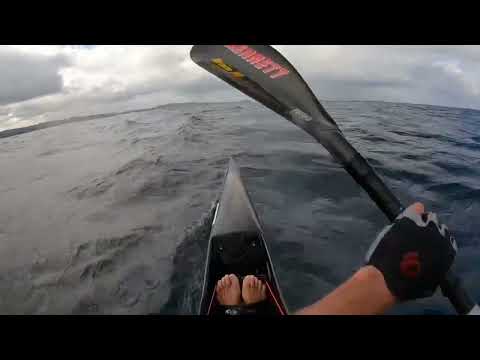 Downwind Shelly-Palm beach Oct 2023