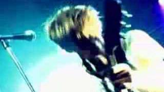 The Stills - Killer Bees (Live)