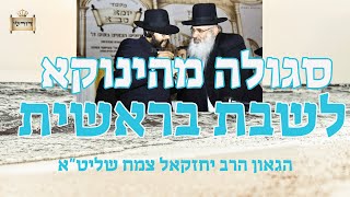 סגולה מהינוקא לשבת בראשית מתורת הבעל שם טוב | הגאון הרב יחזקאל צמח שליט"א