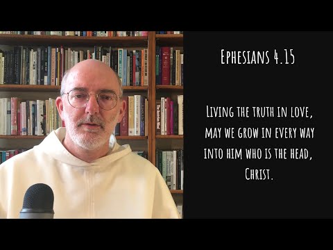 Michael Sherwin - The Christian Life of Virtue: Charity