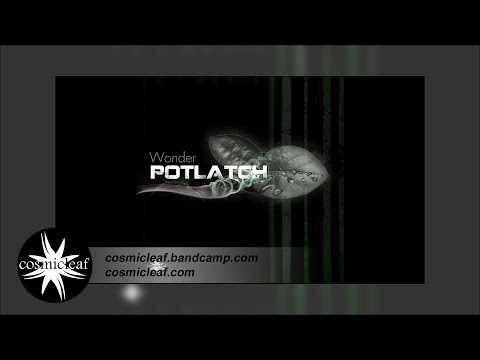 Potlatch - Wonder - 02 Dodo Diary