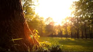 Craig Ranch - McKinney TX | The Best Places to Live in North Texas