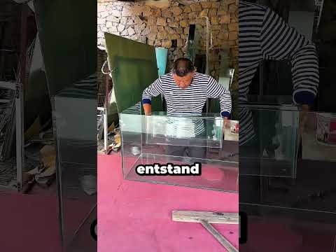 Diese Katze bekam das krasseste Aquarium aller Zeiten! 😲🔥 #Katzenliebe