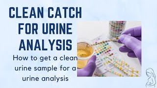 Clean Catch Urine for Urine Analysis