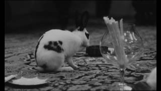 BOOKER ERVIN sweet pea (1968)