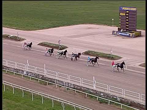 Trotto 22/11/2019 - 1ª prova di qualifica