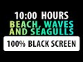 BLACK SCREEN BEACH WAVES AND SEAGULLS 10 Hours For Sleep Relaxing Study Background Meditation