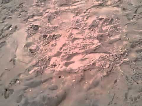 Sachu n his dad playing in the beach