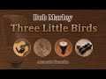 Three Little Birds - Bob Marley (Acoustic Karaoke)