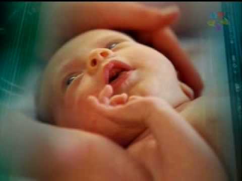 Células-Tronco - Dra. Marlene Nobre