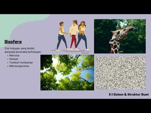 Sains Tingkatan 1: Bab 9 (9.1)