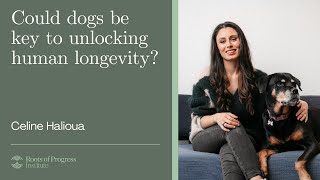 Could dogs be key to unlocking human longevity?