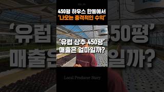 450평 하우스 한동에서 나오는 충격적인 수익