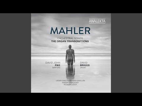 Des Knaben Wunderhorn: Urlicht (Arr. for Voice and Organ)