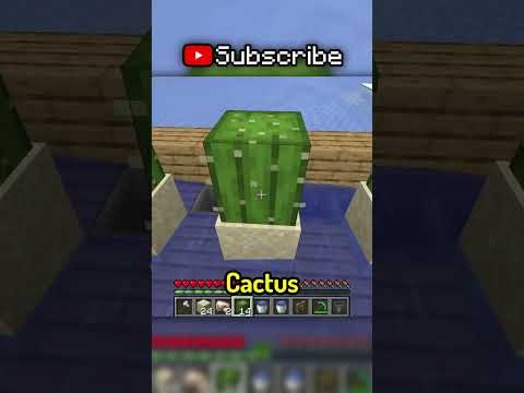 The BEST way to level up in Minecraft