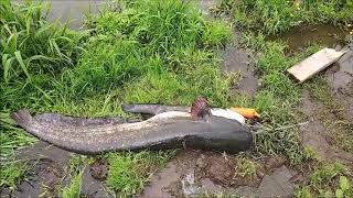 Отчеты о рыбалке в савельево