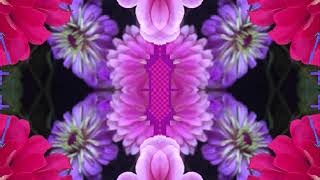 Feel a Whole Lot Better (by Gene Clark &amp; Friends live in Allentown, PA &#39;85)