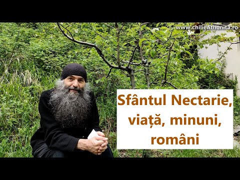 Sfântul Nectarie, viață, minuni, români - p. Pimen