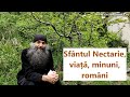 Sfântul Nectarie Viață Minuni Români P Pimen