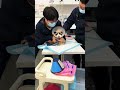 Bad cats will get on the panini plane#cat #catvideos #animals #funny #funnyvideo #fyp #foryou