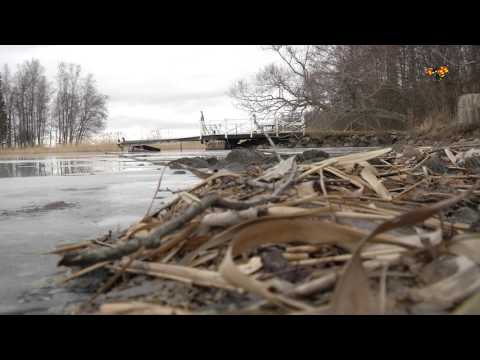 Rajabis känslor mot Arbogakvinnan