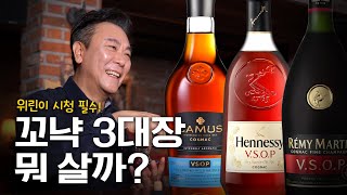 입문용 꼬냑 3대장 딱 정해드림 | 꼬냑 비교시음