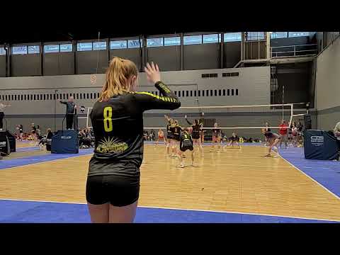 WCNQ D1 G2 S1 against TAV