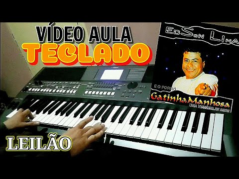 Leilão - Gatinha Manhosa