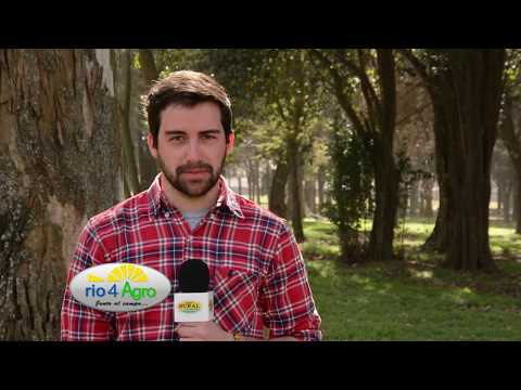 PROGRAMA RIO4AGRO  31-08 BLOQUE 3 - ORODA