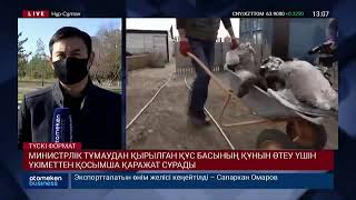 ҚҰС ТҰМАУЫ ШЫҒЫС ҚАЗАҚСТАНҒА ЖЕТТІ