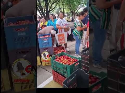 LA MARCHA DE LA CIRUELA.  S.O S  por los campesinos  de Pamplonita