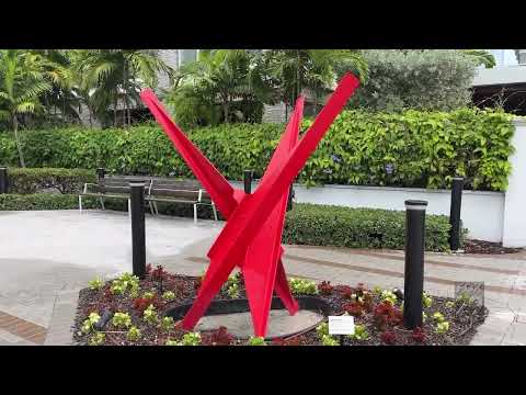 WFLX FOX Featuring ALINA Residences