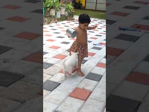 Dhanvi kuttiyum Leo kuttanum #dog cuteiss🥰💞💝