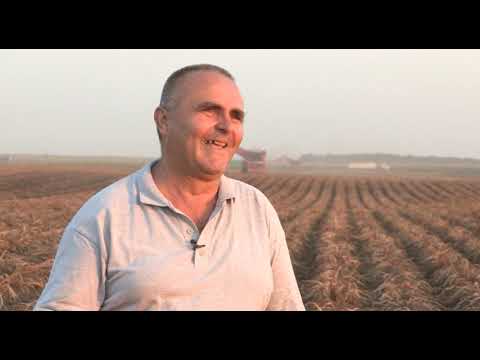 Može bolje ep. 75 10.09.2018. Proizvodnja i vađenje krompira