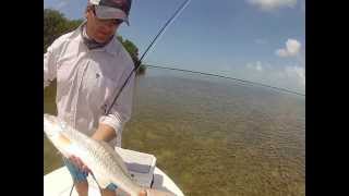preview picture of video 'Red fishing in Big Pine Key, Florida     BoneafideCharters.com'