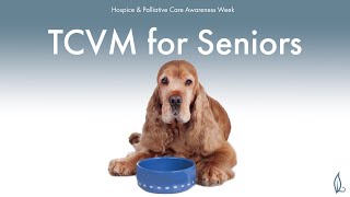TCVM for Senior Pets