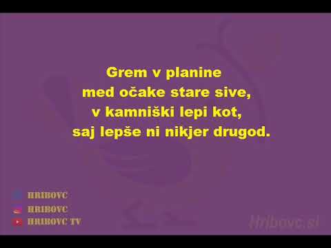 Ansambel bratov Poljanšek - Veselo v Kamnik (besedilo)