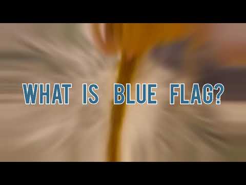 WHAT IS BLUE FLAG? | Day 105