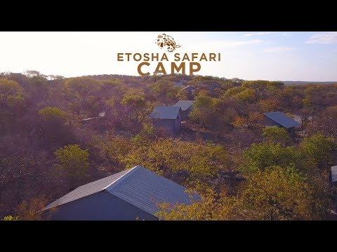 download lagu mp3 mp4 Classic Namibia Safari, download lagu Classic Namibia Safari gratis, unduh video klip Classic Namibia Safari