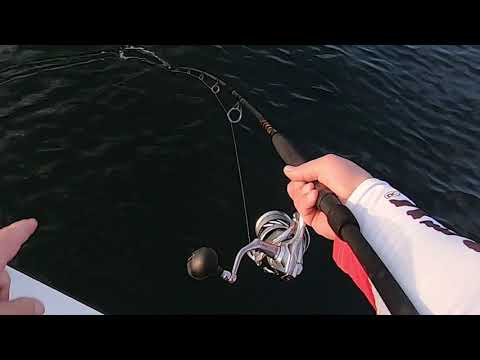 Musky Follow Up - Sombitch was Right On It! 🤬