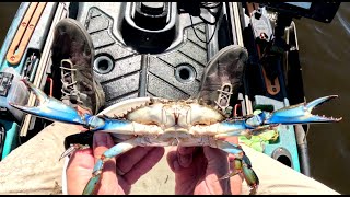 Cooler Full Of Blue Crabs!