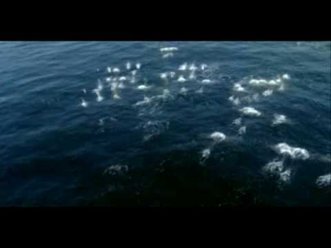 Avatar - Jake Sully , Na'vi hero , sent you a message to fight for our Earth