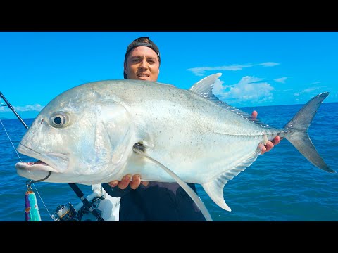 EPIC ZONE - INSANE fish feeding frenzy