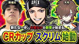 【APEXカスタム】新たな一歩。ハセシンの新章がいま始まる。CRカップ公式スクリムDAY１。with 関優太, 天月【ZETAハセシン】Apex Legends