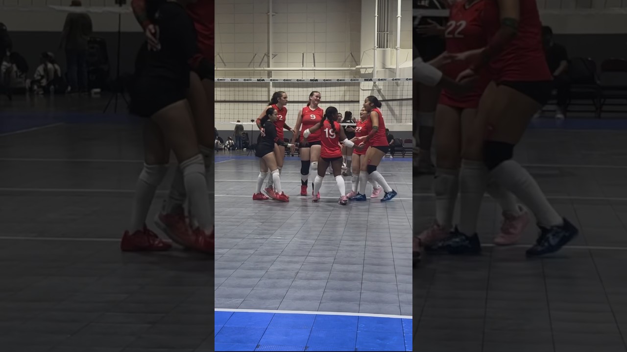 🏐 Rally Vs. Pulse 16 Black #siennarivera #libero #bavc