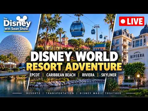 Live webcam of The Disney With Sean Show